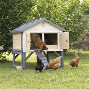 Poulailler éducatif MIJ Cluck Cluck cottage, jusqu'à 5 poules